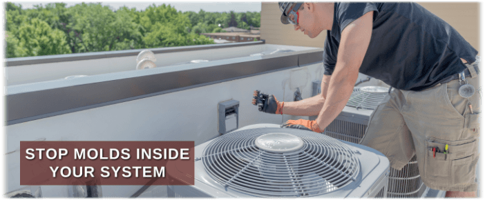HVAC Mold Removal Atascocita TX